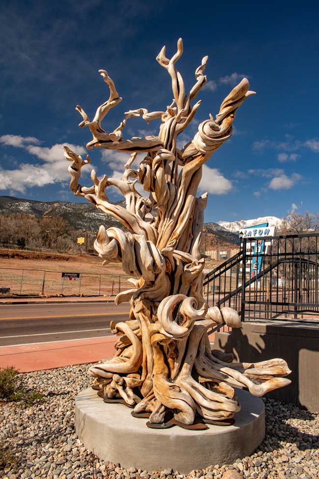 This photo shows the Manitou Juniper sculpture by artist Tom Benedict in front of Holiday Inn Express on Manitou Avenue. Success Stories from the Manitou Springs Urban Renewal Authority. This photo shows the Manitou Juniper sculpture by artist Tom Benedict in front of Holiday Inn Express on Manitou Avenue. Success Stories from the Manitou Springs Urban Renewal Authority.